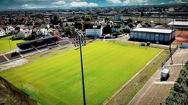 守者来说 守者来说