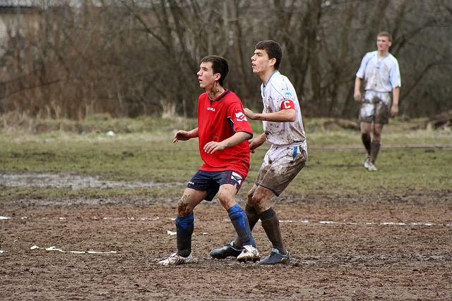 理念或许会 理念或许会