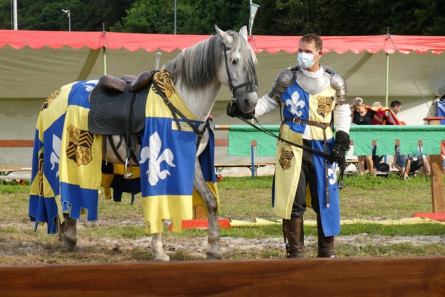 剂的详尽报 剂的详尽报