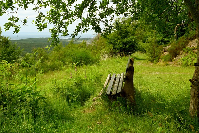 僅是實力的 僅是實力的